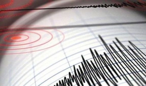 Deprem Tehlikesi Olan Alanlarda Deprem Alarmı ve Afet Yönetimi İçin ICT Kablosuz Sensör Ağlarının Uygulanması